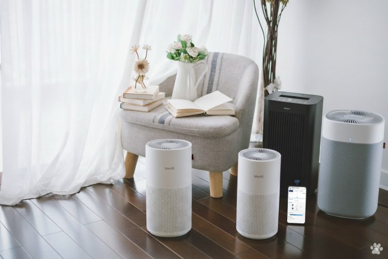 Best Air Purifier for Pet Smells