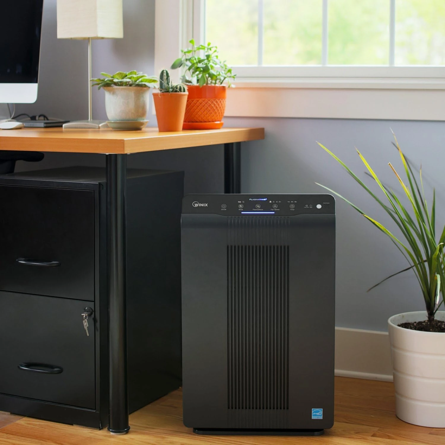 Winix 5500-2 air purifier placed in a bright home office near a window with indoor plants