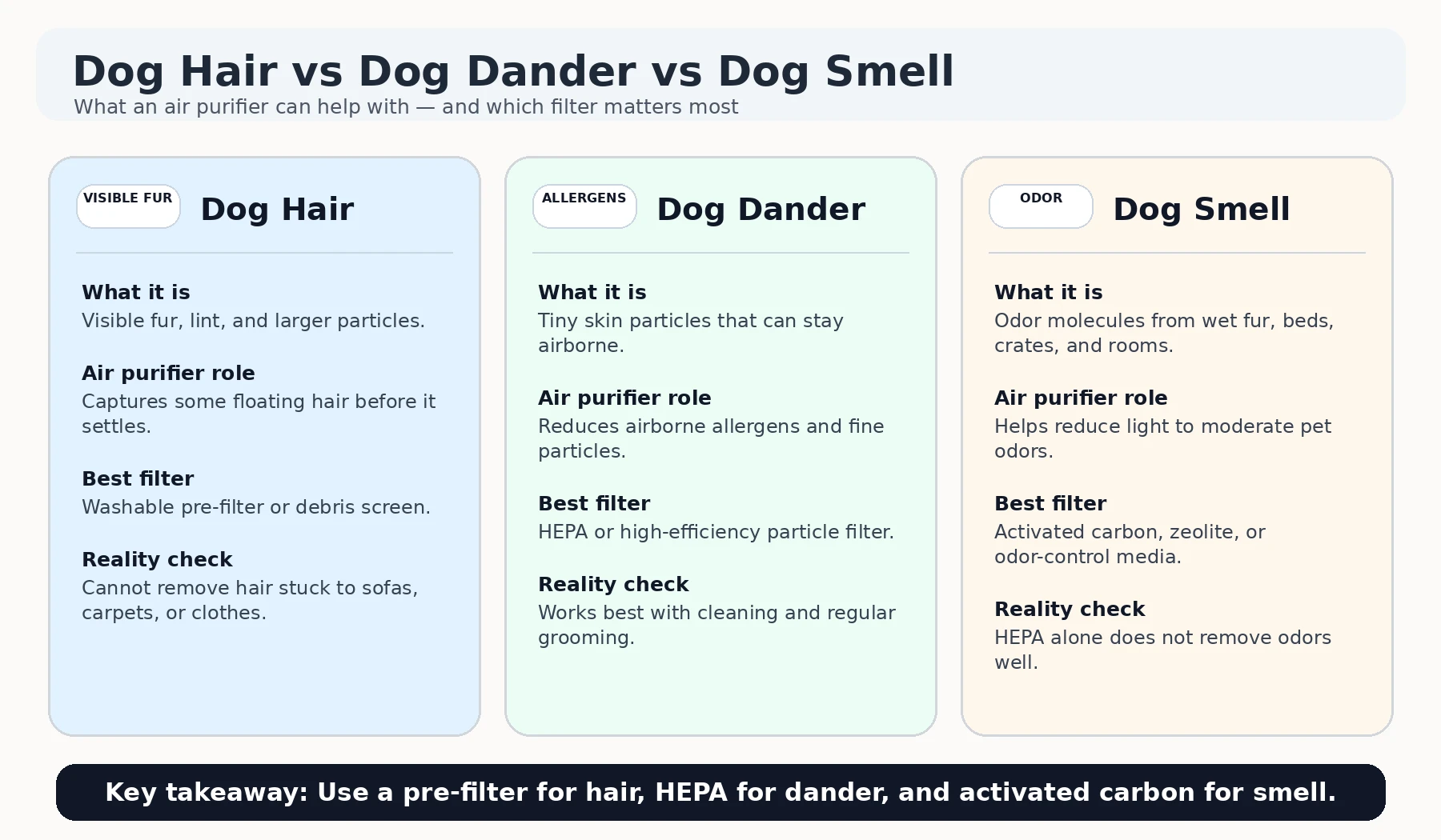Dog hair vs dog dander vs dog smell infographic for air purifier buyers