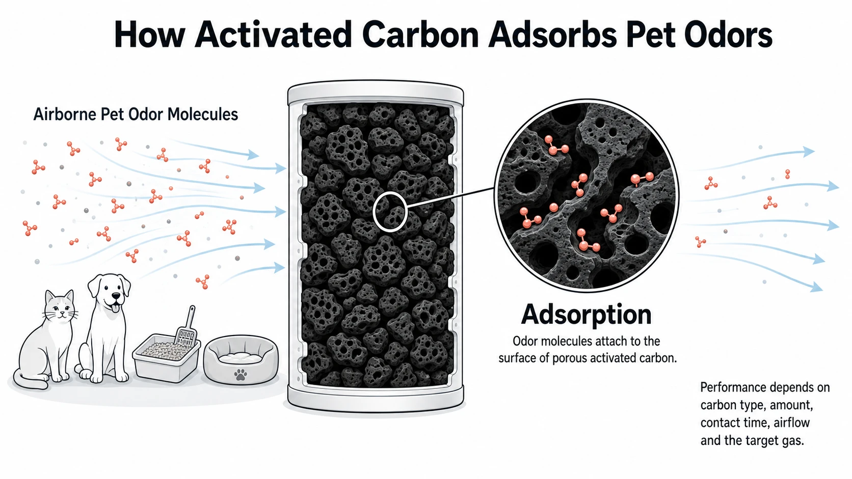 How activated carbon adsorbs airborne pet odor molecules