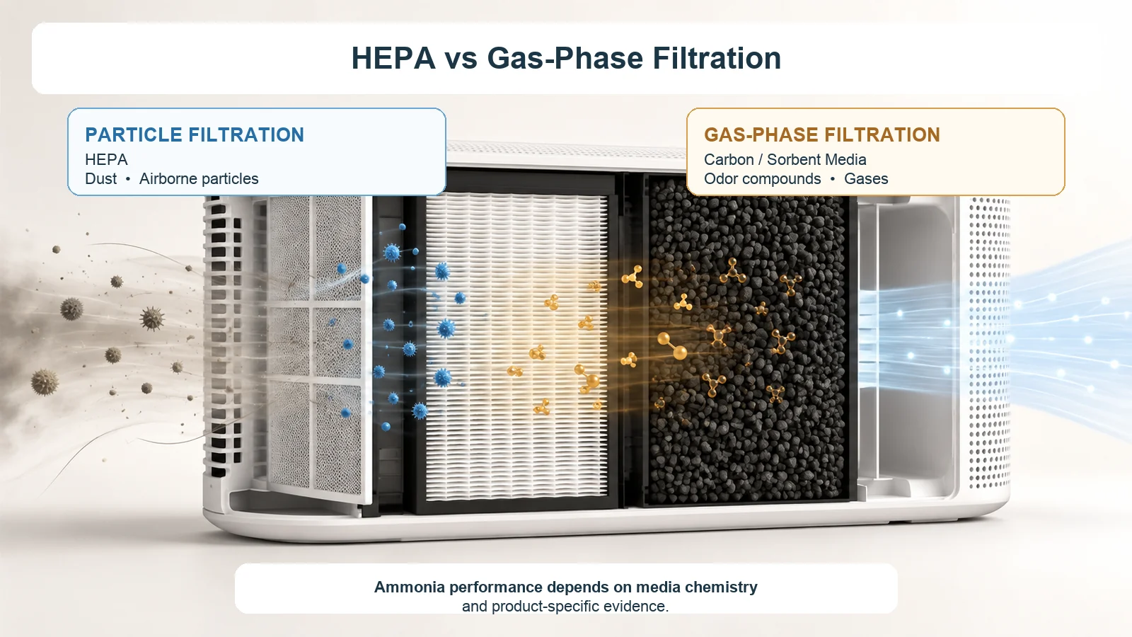 Air purifier cutaway comparing HEPA particle filtration with activated carbon gas-phase filtration